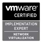 Valid VNX100 Test Pattern