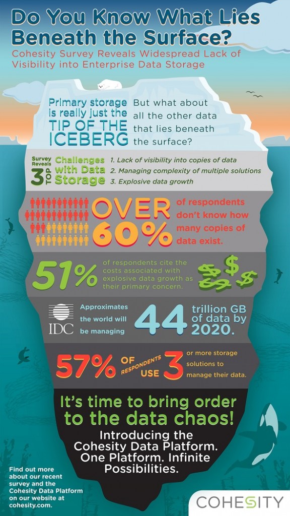 Cohesity_Infographic_Iceberg_Flat